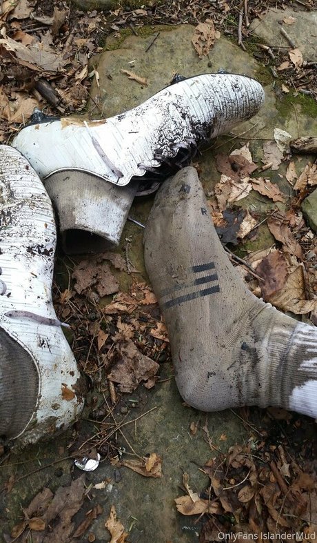 islandermud estrella adulta imagen