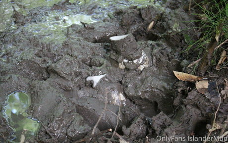 islandermud estrella erótica foto