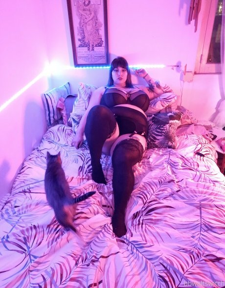 bbwaltswitch estrella porno superior imágenes