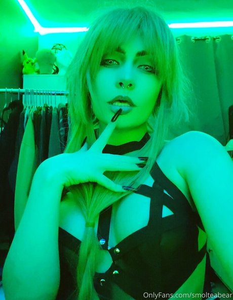 miravesani modelo superior galerías