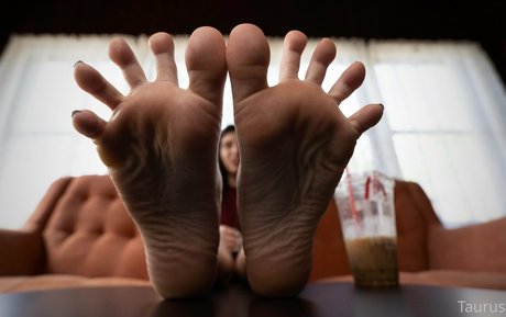 tastytaurustoes mejor estrella imágenes