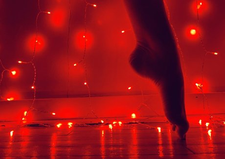 tastytaurustoes modelo galerías