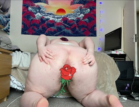 phoebetheunistudent estrella atractiva archivo