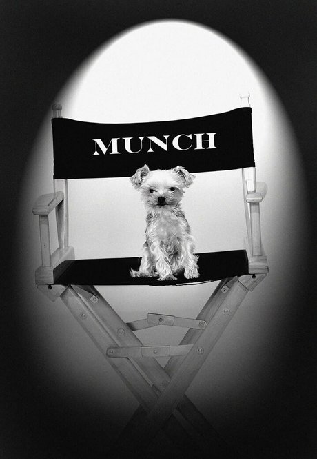 stormydaniels actriz perfecta galerías