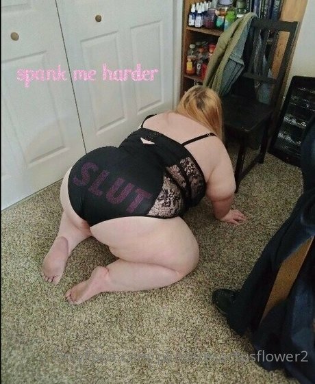 plussizecactusflower2 arte estrella porno recopilación