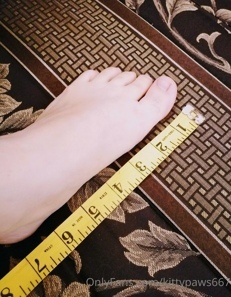 kittypaws667 modelo de arte recopilación