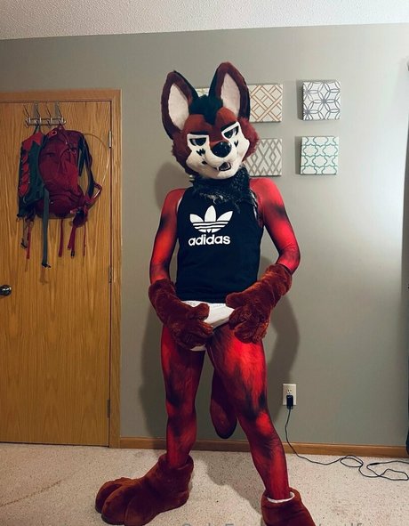 onlyfans gays solteros hermosa xxx galería