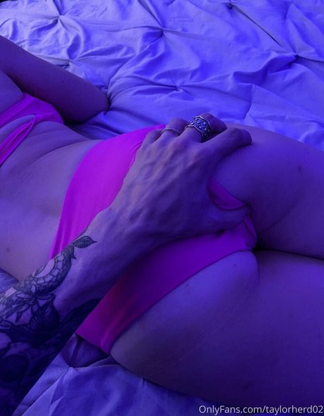 taylorherd02 libre de estrellas archivo