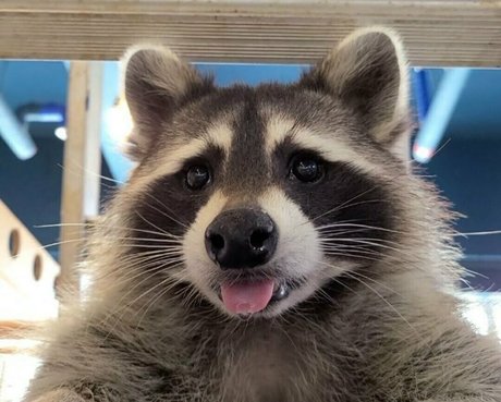 maskkim estrella porno sexy imágenes