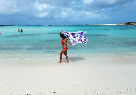 Amanda F modelo porno recopilación