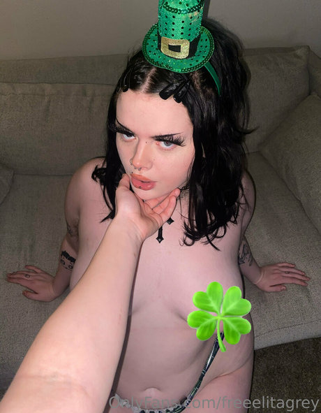 freeelitagrey estrella de alta calidad galería