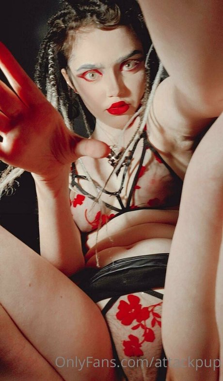 attackpup actriz de alta calidad archivo