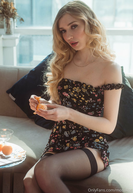 mossfree estrella porno de arte galería