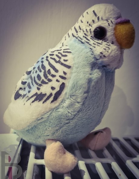 belle lou estrella porno superior recopilación