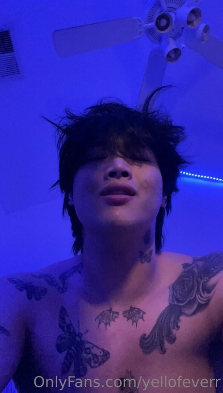 yellofeverr modelo hd recopilación