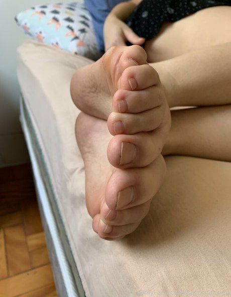 pallomalovely estrella agradable recopilación