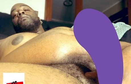 xo bigga free estrella perfecta archivo