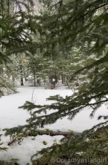 dreamyasiangirlvids arte modelo archivo