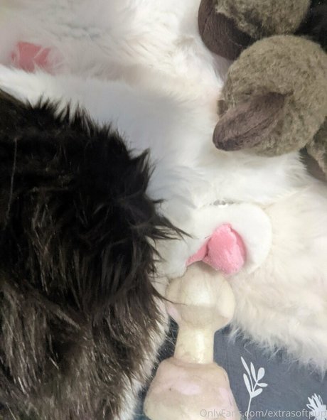 extrasoftpup estrella porno superior galerías