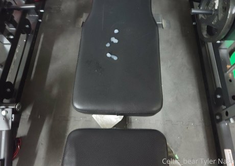 celtic bear modelo desnuda galería