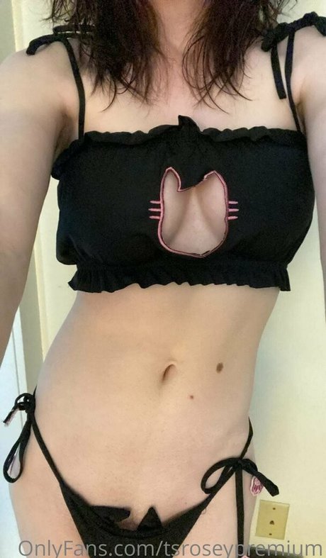 tsroseypremium estrella atractiva fotos