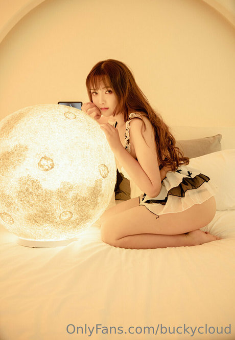 buckycloud arte estelar galerías