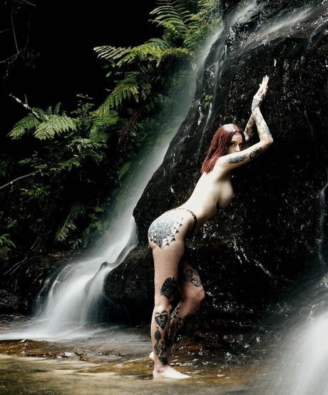 Sindyspurr modelo superior imagen