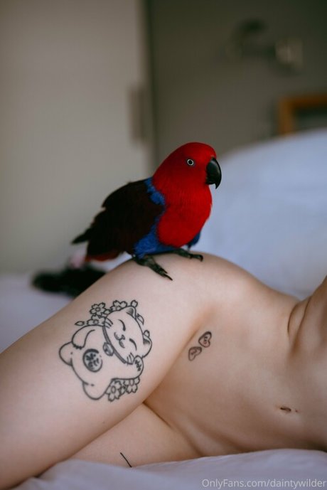 big cock gay onlyfans art naked picture