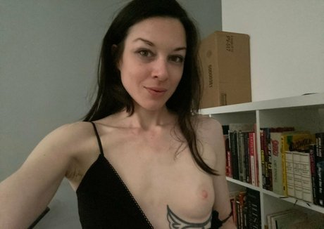Stoya nudes pornstar galleries
