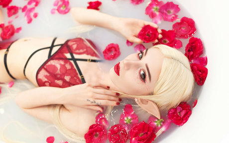 WhiteFox star adult photo