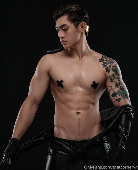 thetcornervn naked pornstar image