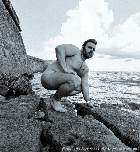 brazildaddybearfreepage top profile image