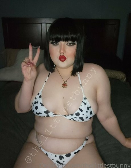 thel1ttlestbunny pornstar nude pictures