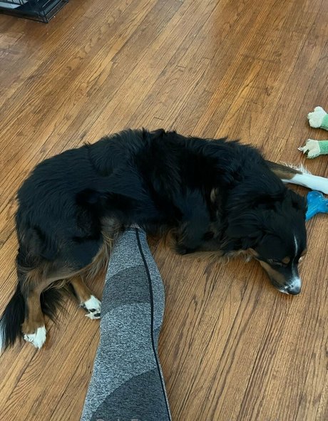 solegoddessap beautiful star photo