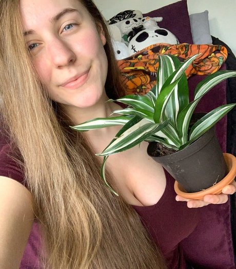 Casey The Gamer star pic
