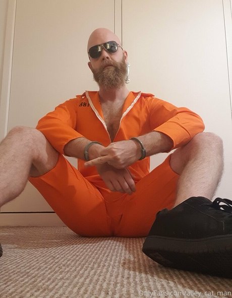 alley cat man model pornographic image