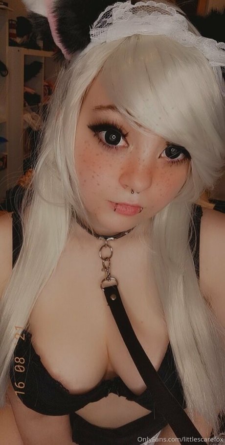 littlescarefox perfect model pics