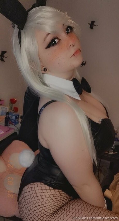 littlescarefox high quality star picture