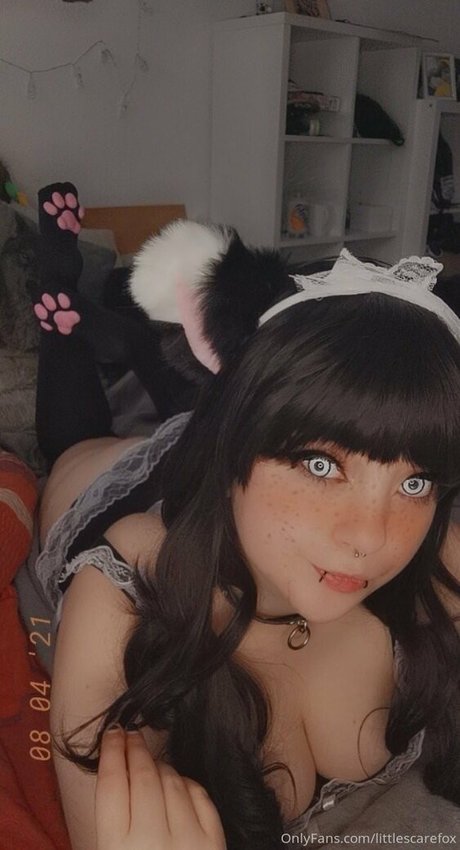 littlescarefox pornographic star photo