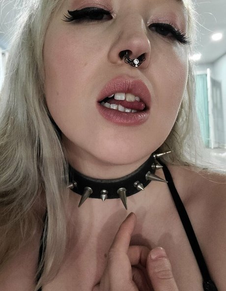 FitxKitten star exclusive image
