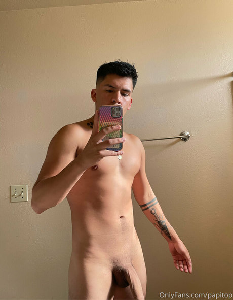 papitop model perfect galleries