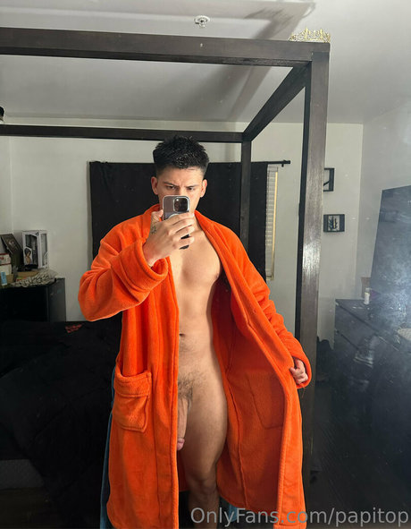 papitop top profile image