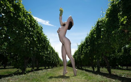 poseurs pornstar top photo