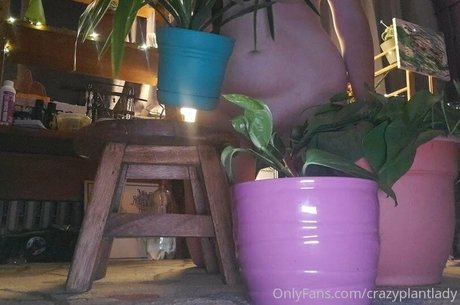 crazyplantlady beautiful star photo