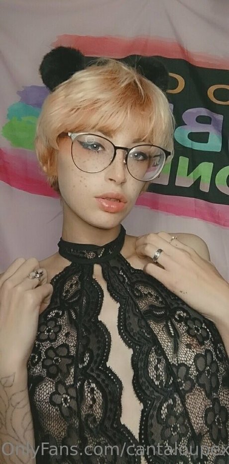 cantaloupexo star beautiful galleries