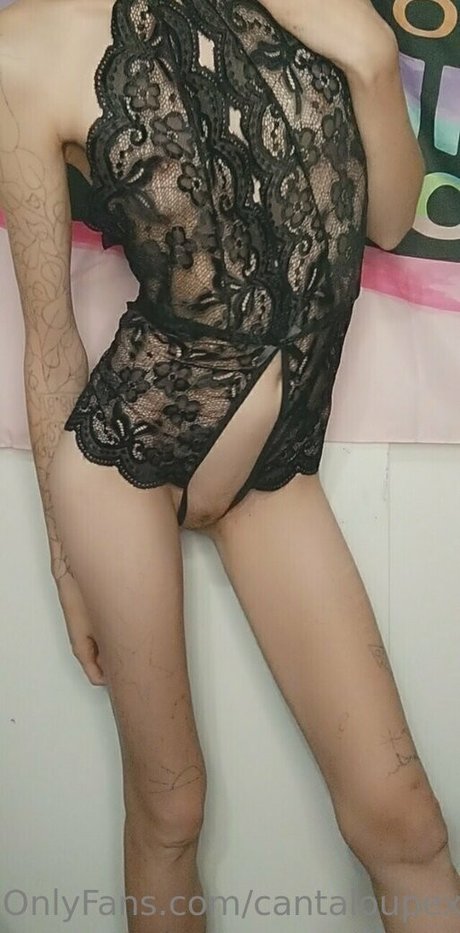 cantaloupexo star beautiful gallery