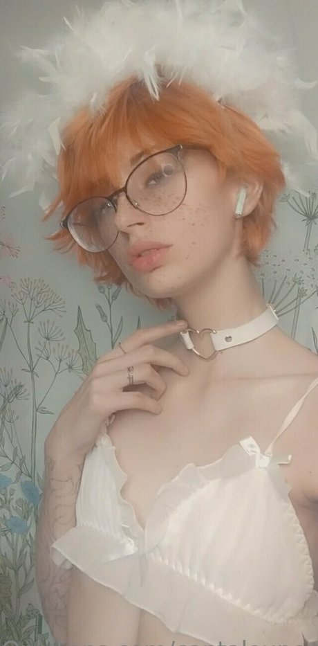 cantaloupexo xxx star img