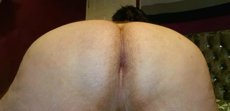 powerboar adult star images