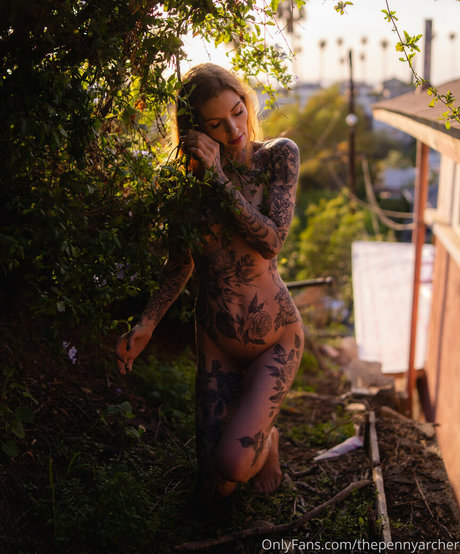 thepennyarcher top model img