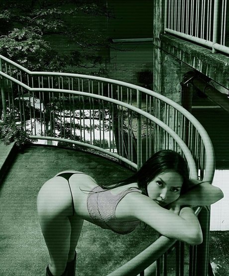 Ceces Playground pornstar nice gallery